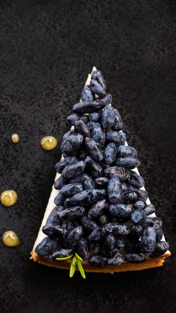 Close-up of a blueberry-topped dessert slice on a textured black background, showcasing intricate details.